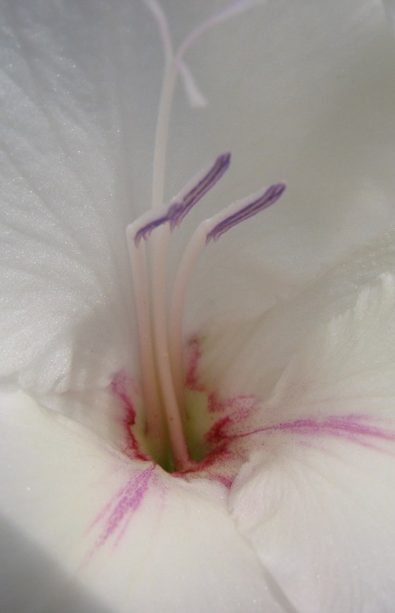 Sigrid Ebert, Photographie